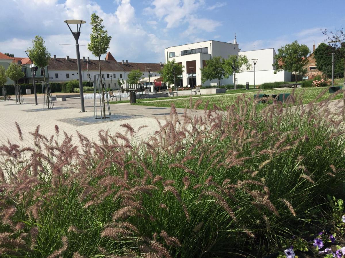 Atmoszfera Apartman Sárvár Exteriér fotografie